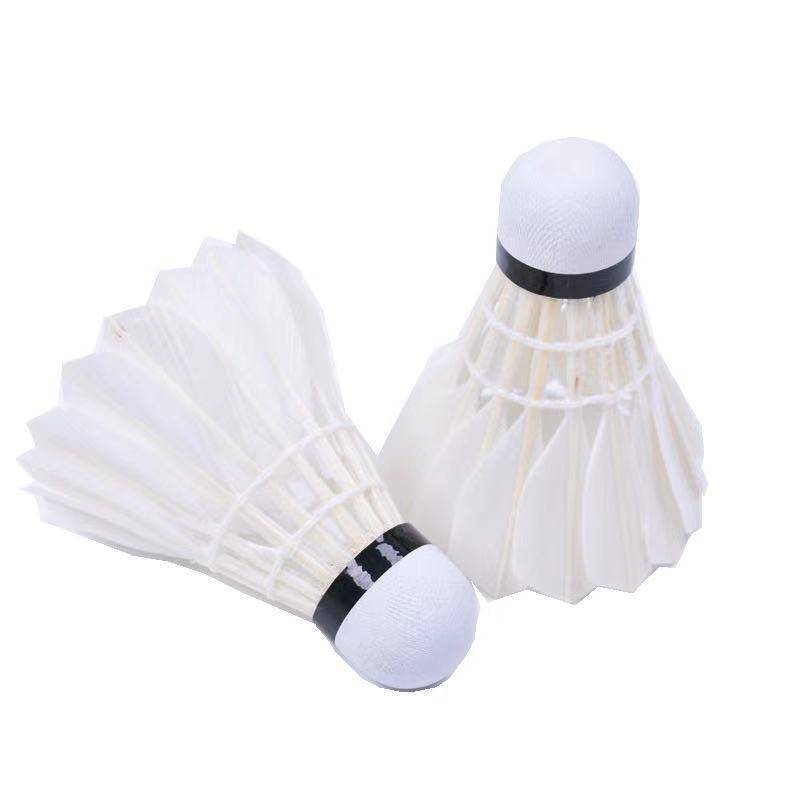 The badminton